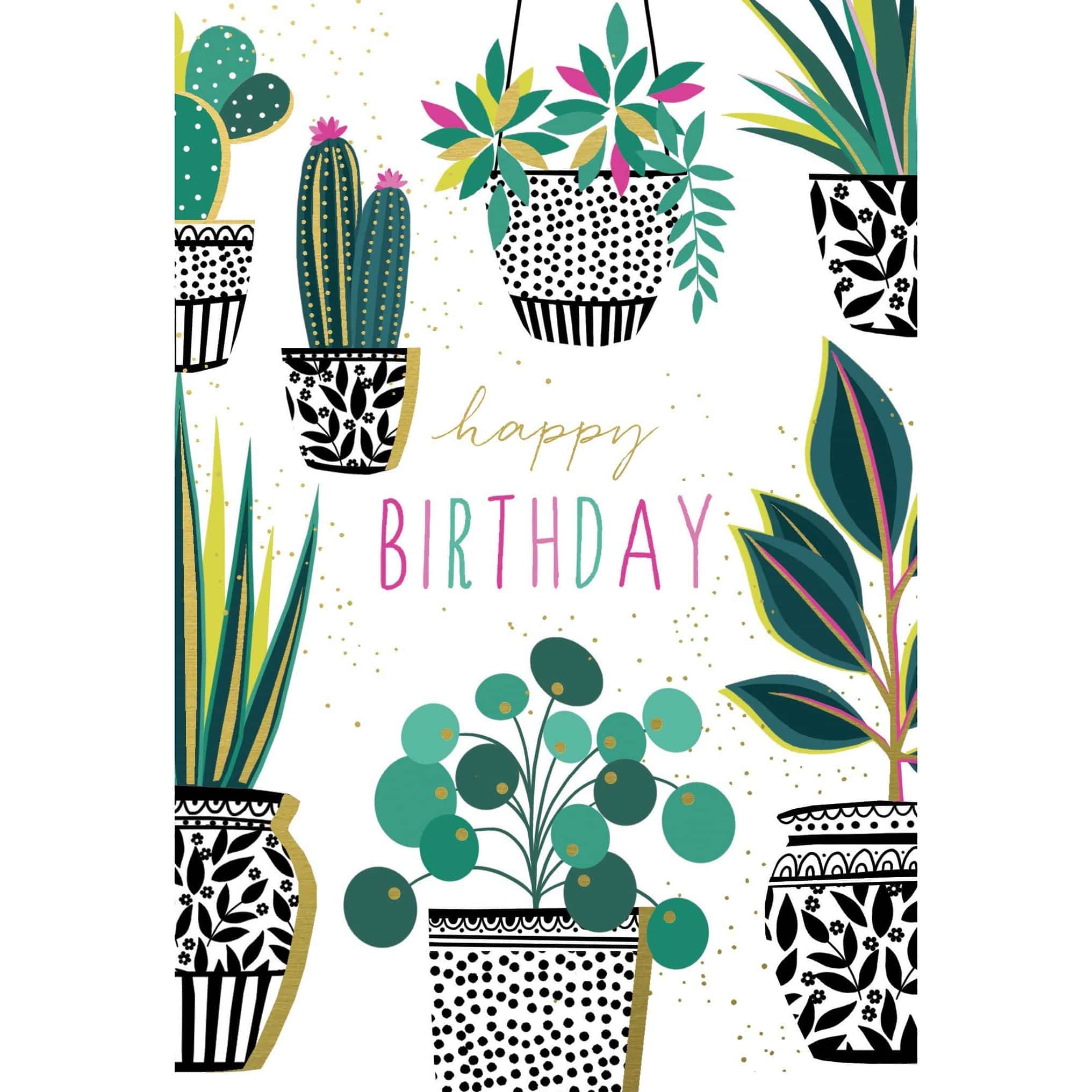 Pictura Sara Miller cactus plants birthday card featuring colorful cactus illustrations on a bright background.